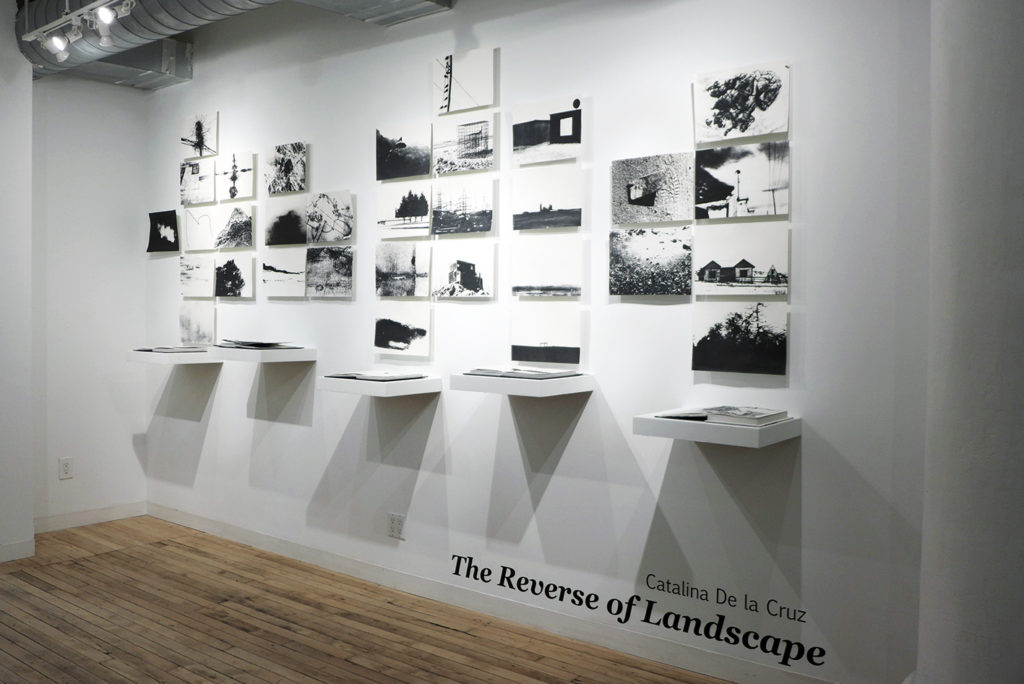 grid of black and white images and books
