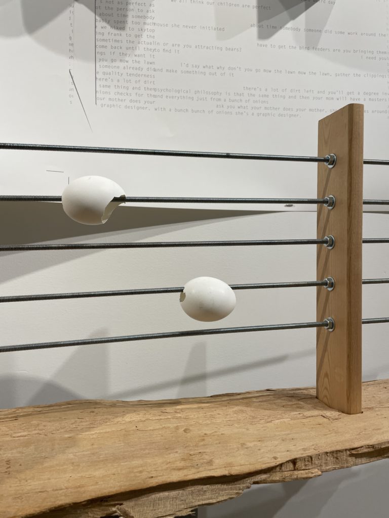 traversing with onions (2015) Sondra Graff