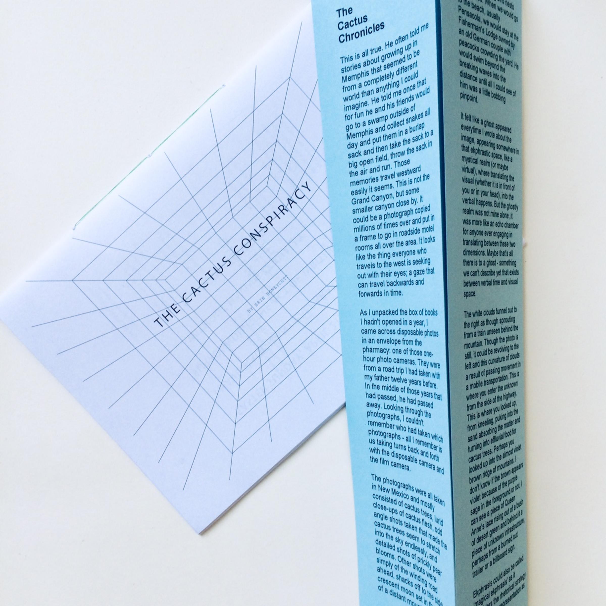 The Cactus Conspiracy booklet and The Cactus Chronicles accordion-fold pamphlet.