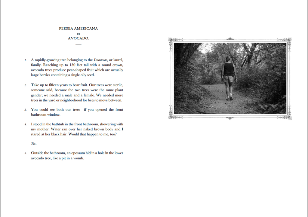 Two-page spread of an entry about avocados and a black and white photograph of a woman hiking away from the camera